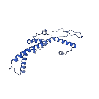 36108_8j9i_C4_v1-1
Cryo-EM structure of Euglena gracilis complex I, turnover state