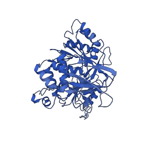 36108_8j9i_E1_v1-1
Cryo-EM structure of Euglena gracilis complex I, turnover state