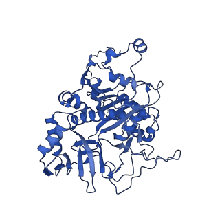 36108_8j9i_E2_v1-1
Cryo-EM structure of Euglena gracilis complex I, turnover state