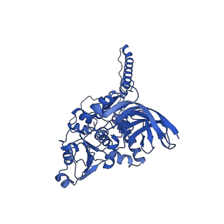 36108_8j9i_E3_v1-1
Cryo-EM structure of Euglena gracilis complex I, turnover state