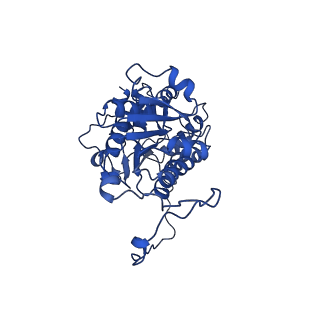 36108_8j9i_E4_v1-1
Cryo-EM structure of Euglena gracilis complex I, turnover state