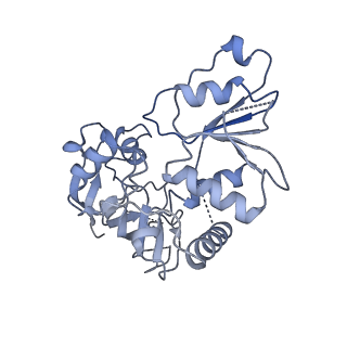 36108_8j9i_E5_v1-1
Cryo-EM structure of Euglena gracilis complex I, turnover state