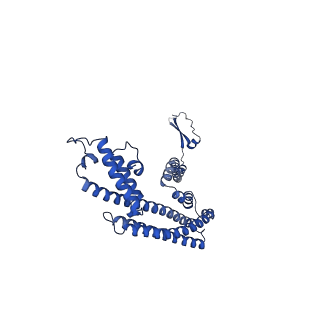 36108_8j9i_E6_v1-1
Cryo-EM structure of Euglena gracilis complex I, turnover state