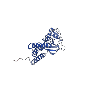 36108_8j9i_E7_v1-1
Cryo-EM structure of Euglena gracilis complex I, turnover state