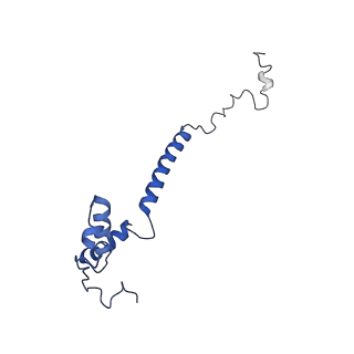 36108_8j9i_EA_v1-1
Cryo-EM structure of Euglena gracilis complex I, turnover state