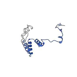 36108_8j9i_EB_v1-1
Cryo-EM structure of Euglena gracilis complex I, turnover state