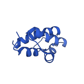 36108_8j9i_EC_v1-1
Cryo-EM structure of Euglena gracilis complex I, turnover state