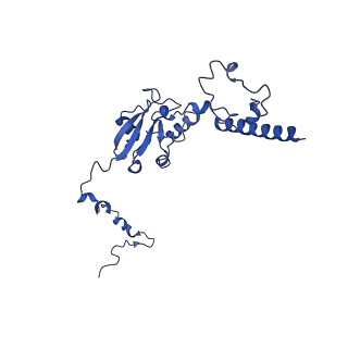 36108_8j9i_FX_v1-1
Cryo-EM structure of Euglena gracilis complex I, turnover state