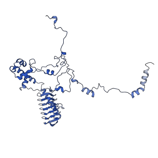 36108_8j9i_G1_v1-1
Cryo-EM structure of Euglena gracilis complex I, turnover state