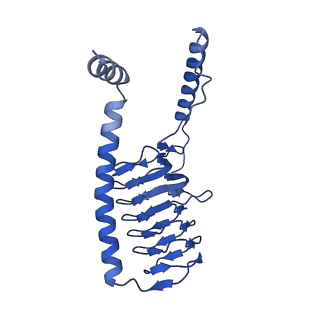 36108_8j9i_G2_v1-1
Cryo-EM structure of Euglena gracilis complex I, turnover state