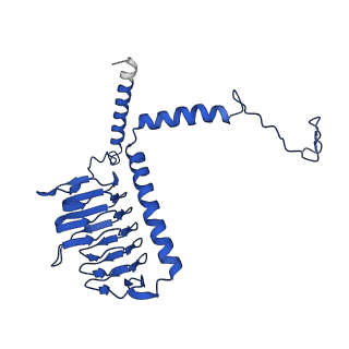 36108_8j9i_G3_v1-1
Cryo-EM structure of Euglena gracilis complex I, turnover state