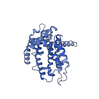 36108_8j9i_N1_v1-1
Cryo-EM structure of Euglena gracilis complex I, turnover state