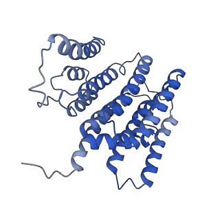 36108_8j9i_N2_v1-1
Cryo-EM structure of Euglena gracilis complex I, turnover state