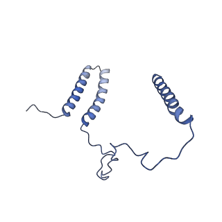 36108_8j9i_N3_v1-1
Cryo-EM structure of Euglena gracilis complex I, turnover state