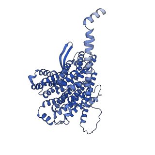 36108_8j9i_N5_v1-1
Cryo-EM structure of Euglena gracilis complex I, turnover state