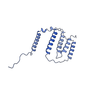 36108_8j9i_N6_v1-1
Cryo-EM structure of Euglena gracilis complex I, turnover state