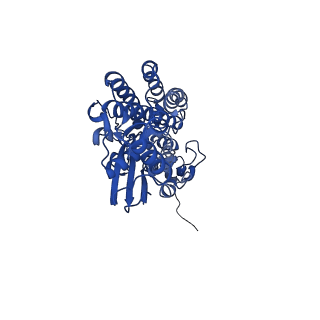 36108_8j9i_S2_v1-1
Cryo-EM structure of Euglena gracilis complex I, turnover state