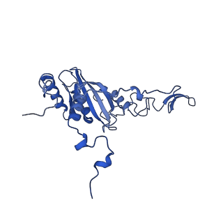 36108_8j9i_S3_v1-1
Cryo-EM structure of Euglena gracilis complex I, turnover state