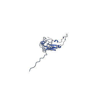 36108_8j9i_S4_v1-1
Cryo-EM structure of Euglena gracilis complex I, turnover state