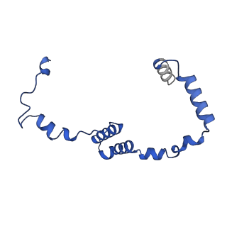 36108_8j9i_S5_v1-1
Cryo-EM structure of Euglena gracilis complex I, turnover state