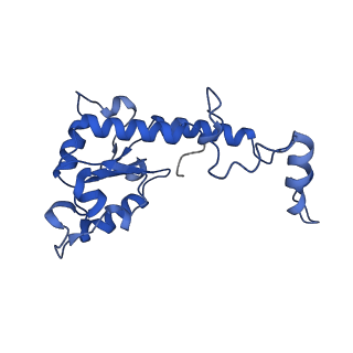 36108_8j9i_S7_v1-1
Cryo-EM structure of Euglena gracilis complex I, turnover state