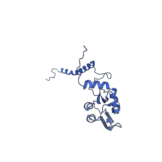 36108_8j9i_S8_v1-1
Cryo-EM structure of Euglena gracilis complex I, turnover state