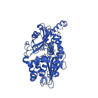 36108_8j9i_V1_v1-1
Cryo-EM structure of Euglena gracilis complex I, turnover state