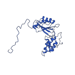 36108_8j9i_V2_v1-1
Cryo-EM structure of Euglena gracilis complex I, turnover state