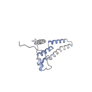 36109_8j9j_2B_v1-1
Cryo-EM structure of Euglena gracilis complex I, NADH state