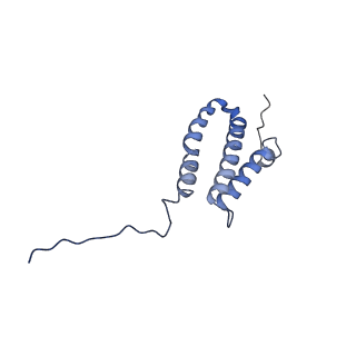 36109_8j9j_4L_v1-1
Cryo-EM structure of Euglena gracilis complex I, NADH state