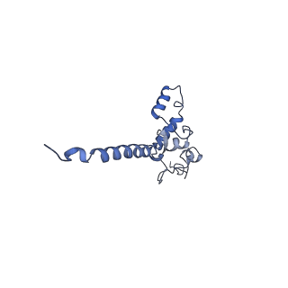 36109_8j9j_A1_v1-1
Cryo-EM structure of Euglena gracilis complex I, NADH state