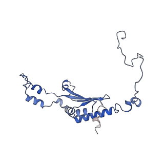 36109_8j9j_A2_v1-1
Cryo-EM structure of Euglena gracilis complex I, NADH state