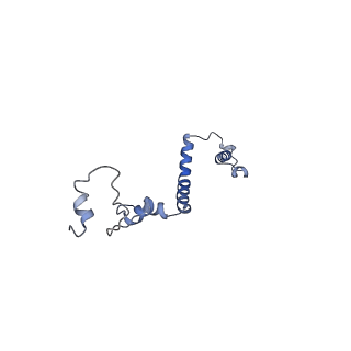 36109_8j9j_A3_v1-1
Cryo-EM structure of Euglena gracilis complex I, NADH state