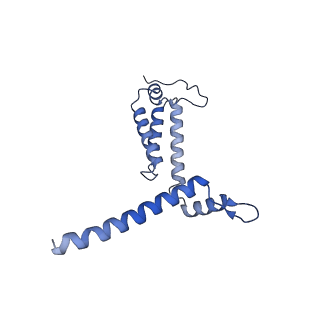 36109_8j9j_A5_v1-1
Cryo-EM structure of Euglena gracilis complex I, NADH state