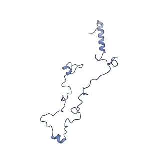 36109_8j9j_A7_v1-1
Cryo-EM structure of Euglena gracilis complex I, NADH state