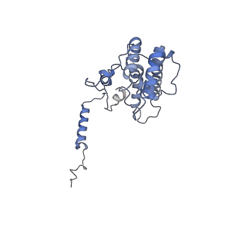 36109_8j9j_A8_v1-1
Cryo-EM structure of Euglena gracilis complex I, NADH state