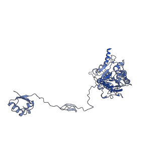 36109_8j9j_A9_v1-1
Cryo-EM structure of Euglena gracilis complex I, NADH state