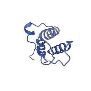 36109_8j9j_AB_v1-1
Cryo-EM structure of Euglena gracilis complex I, NADH state