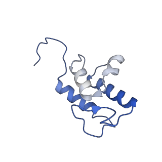 36109_8j9j_AC_v1-1
Cryo-EM structure of Euglena gracilis complex I, NADH state