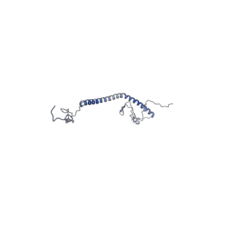 36109_8j9j_AM_v1-1
Cryo-EM structure of Euglena gracilis complex I, NADH state