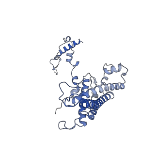 36109_8j9j_AN_v1-1
Cryo-EM structure of Euglena gracilis complex I, NADH state