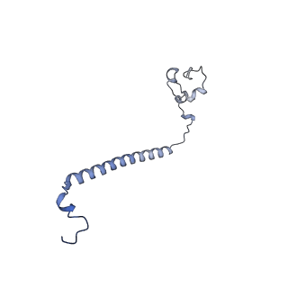36109_8j9j_B2_v1-1
Cryo-EM structure of Euglena gracilis complex I, NADH state