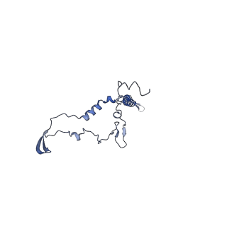 36109_8j9j_B4_v1-1
Cryo-EM structure of Euglena gracilis complex I, NADH state