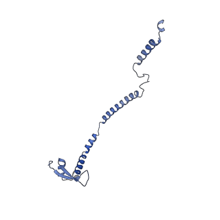 36109_8j9j_B5_v1-1
Cryo-EM structure of Euglena gracilis complex I, NADH state