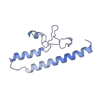 36109_8j9j_B7_v1-1
Cryo-EM structure of Euglena gracilis complex I, NADH state