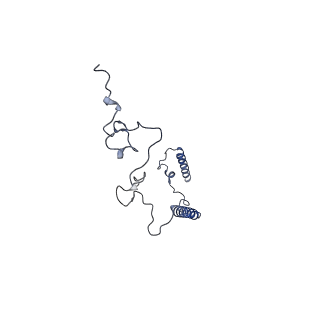 36109_8j9j_B8_v1-1
Cryo-EM structure of Euglena gracilis complex I, NADH state