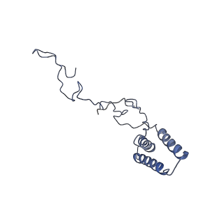 36109_8j9j_B9_v1-1
Cryo-EM structure of Euglena gracilis complex I, NADH state