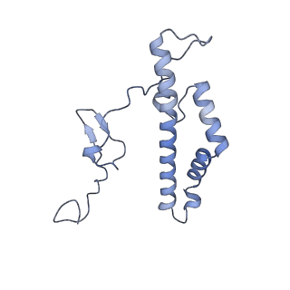 36109_8j9j_BL_v1-1
Cryo-EM structure of Euglena gracilis complex I, NADH state