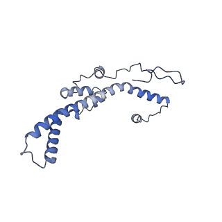 36109_8j9j_C4_v1-1
Cryo-EM structure of Euglena gracilis complex I, NADH state