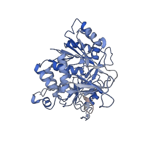 36109_8j9j_E1_v1-1
Cryo-EM structure of Euglena gracilis complex I, NADH state